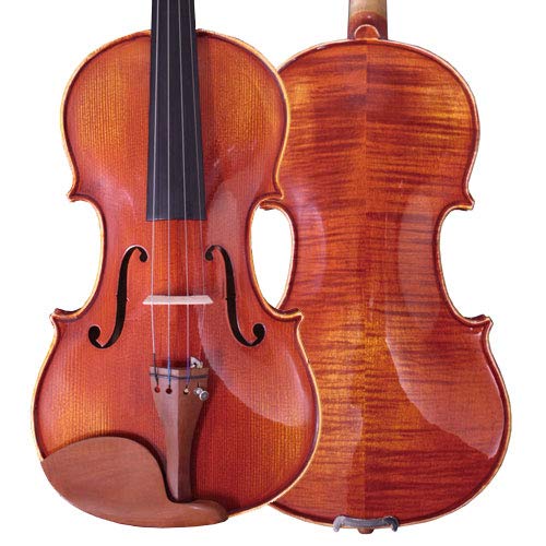 極美品　Reincarnation バイオリン　rv-55 セミハードケース 極美品 Reincarnation バイオリン rv-55 セミハードケース